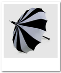 Bella Umbrella