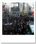 Shibuya crossing