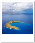 Molokini crater